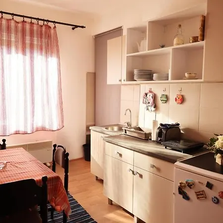 Viki Centar Lejlighed Ni