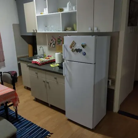 Viki Centar Lejlighed Ni