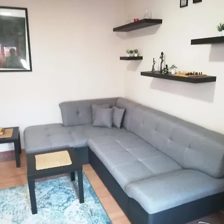 Viki Centar Apartman *