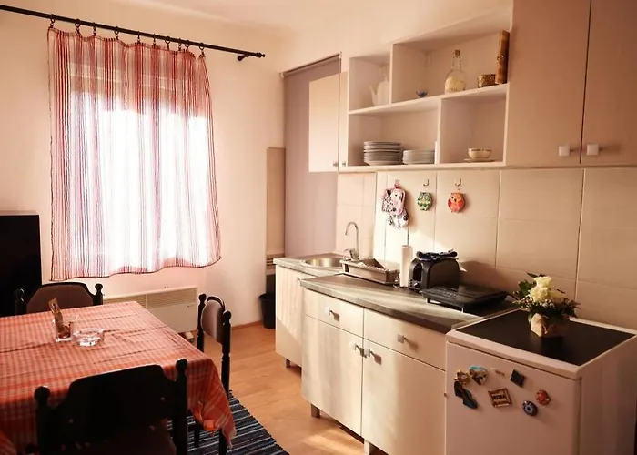 Viki Centar Apartamento Ni