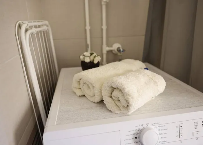 Viki Centar Apartament Ni