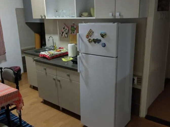 Viki Centar Apartamento Ni
